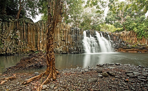 les chutes de Rochester