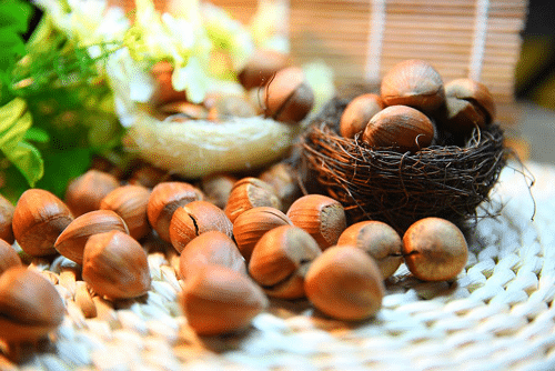 aliments riches en protéines